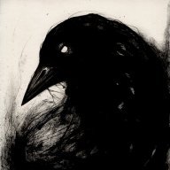 crow